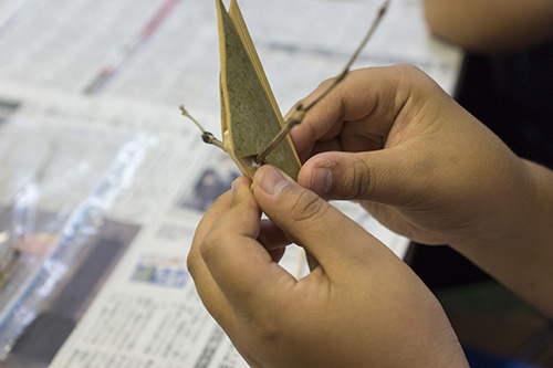 アートキャンプ2014：「2日め 10月12日」